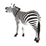 Szablon ścienny Zebra S10
