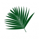 Szablon malarski Liść palmy S18
