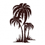 Naklejki ścienne Palmy drzewa M33