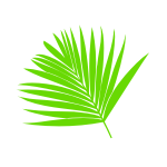 Welurowe naklejki Liście palmy W8