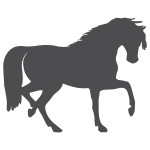 Naklejka welurowa Koń W10