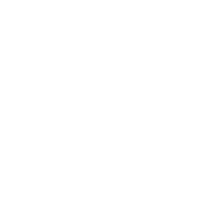 Szablon malarski Zebra S30